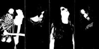 WITCHCRAFT / SZRON