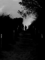 WOODS OF DESOLATION