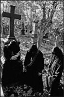 INFERNAL CURSE