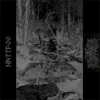 NATTFOG / NEKROKRIST SS