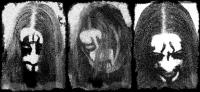 WOLFTRIBE