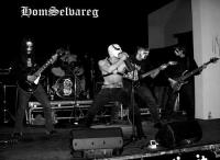 HOMSELVAREG