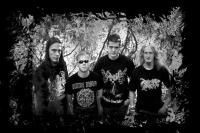 IMMORTAL RITES
