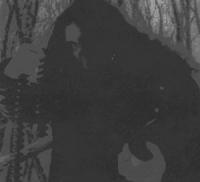 MISANTHROPIC ART