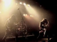 NOCTURNAL GRAVES