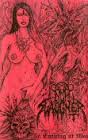 NUNSLAUGHTER : An Evening at War