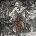 GRAVELAND / COMMANDER AGARES: Awakening of the Storms