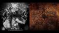 BLACK ALTAR / BEASTCRAFT: Winds ov Decay / Occult Ceremonial Rites