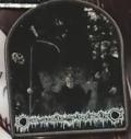 DARKWOODS MY BETROTHED: Patch