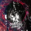 DEAD FLESH STIGMA: Necrocosmic Death Ritual