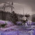 MOOSEGUT: From the Deepening Gloom...