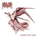 RIDE FOR REVENGE: Angels Fly Low