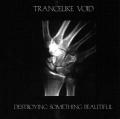 TRANCELIKE VOID: Destroying Something Beautiful