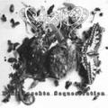 CELESTIA: Dead Insecta Sequestration