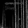 DEAD REPTILE SHRINE / TORTURIUM: Split