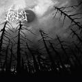 FOREST: Forest