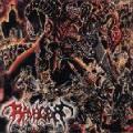 RAVAGER: Storm of Sin