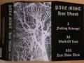 PALE MIST: Hate Wound 