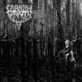 CARRION WRAITH: Carrion Wraith