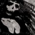 CHAOS MOON: Languor into Echoes, Beyond