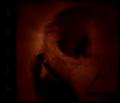 SUN OF THE BLIND: Skullreader