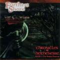 FURTHEST SHORE: Chronicles of Hethenesse Book 1: The Shadow Descends