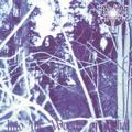 THOU SHALT SUFFER: Into the Woods of Belial