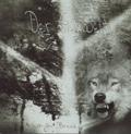 DER GERWELT: Human Breed
