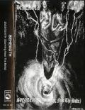 BEHEMOTH: Sventevith (Storming Near the Baltic)