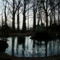 TRANCELIKE VOID: Where the Trees Can Make It Rain