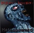 FROZEN ILLUSION: Hatespawned