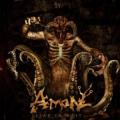 AMON (USA): Liar in Wait