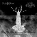 BARD BRANN / EKOVE EFRITS: Key to the Kingdom of Shadows