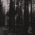 SVARTI LOGHIN: Skog