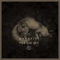 HARAKIRI FOR THE SKY: Aokigahara