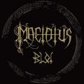 MACT&Auml;TUS: Blot