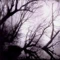 ASTROFAES: Knowing No Dawn