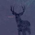 COLD BODY RADIATION: Deer Twillight