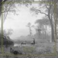 HERM&Oacute;&ETH;R: Forest Sky