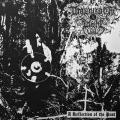DROWNING THE LIGHT / EVIL: A Reflection of the Past / Where the Sun Was Never Born