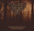 ENDLESS BATTLE: From the Thicket of Times... Gathering of Shadows