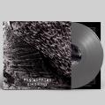 PRECAMBRIAN: Glaciology (Silver)