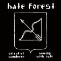 HATE FOREST: Celestial Wanderer / Sowing with Salt
